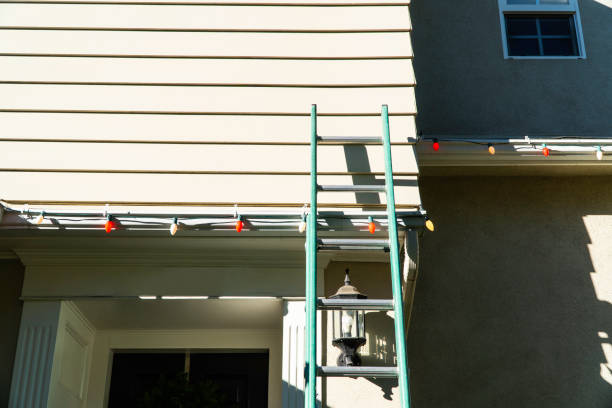 Historical Building Siding Restoration in Twin Lakes, CO